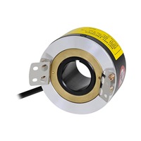 Autonics E80H30-60-3-V-24