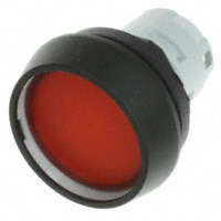 RAFI 1.30.070.021/1306