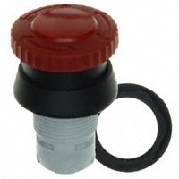 RAFI 1.30.074.521/0304