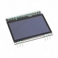 Display Visions EA OLEDS102-6GGA
