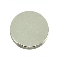 Radial Magnets, Inc. 8173