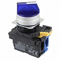 Omron Automation and Safety A22NW-2MM-TAA-G100-AC