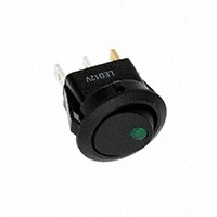 E-Switch RR11131100-234