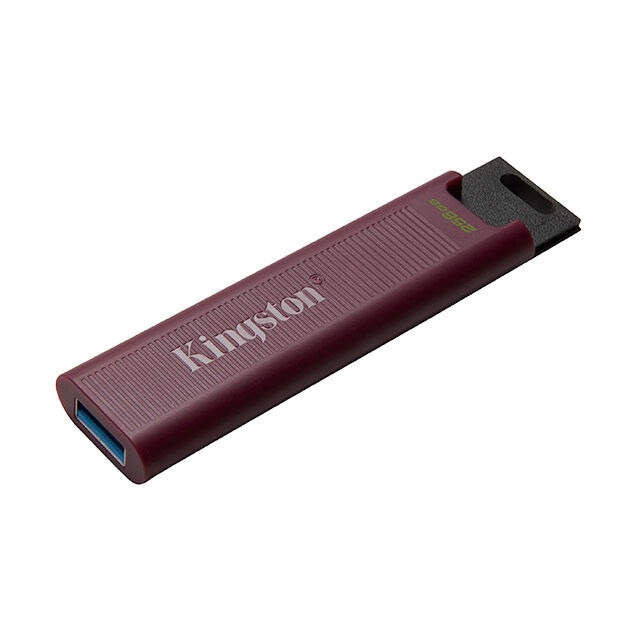 Kingston Technology DTMAXA/256GB