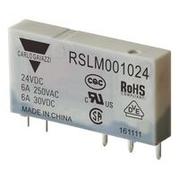 Carlo Gavazzi Inc. RSLM001024