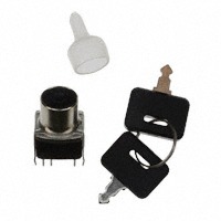 NKK Switches SK22BG13