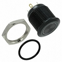 E-Switch PV6F24011G-301