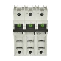 Eaton - Bussmann Electrical Division CCP2-3-30CF