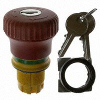 RAFI 1.30.243.701/0300