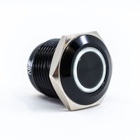 E-Switch PV6F24011-301