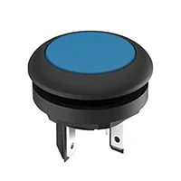 RAFI 1.15.210.101/2601