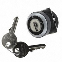 RAFI 1.30.245.432/0000