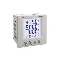 Selec Controls USA Inc. MFM383A