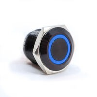 E-Switch PV6F24011-341