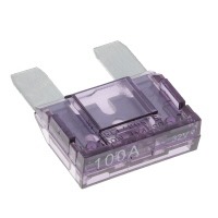 Littelfuse Inc. 0MAX100.HXGLO