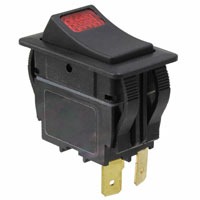 E-Switch RVW41D1100-116