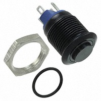 E-Switch PV0H24011-311