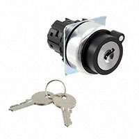 Omron Automation and Safety A22NZ-2BM-01AA