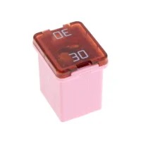 Littelfuse Inc. 0895030.T