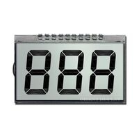 Orient Display OD-301