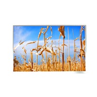 AZ Displays ATM1010L19