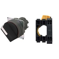 Omron Automation and Safety A22NS-2BM-NBA-P100-NN