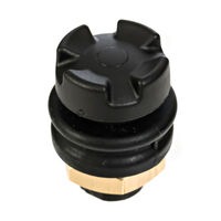 Ruffy Controls Inc. TS2-H6-S-T-1-C-BK