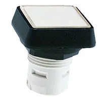 RAFI 1.30.070.501/0000