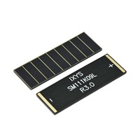 ANYSOLAR Ltd SM111K09L