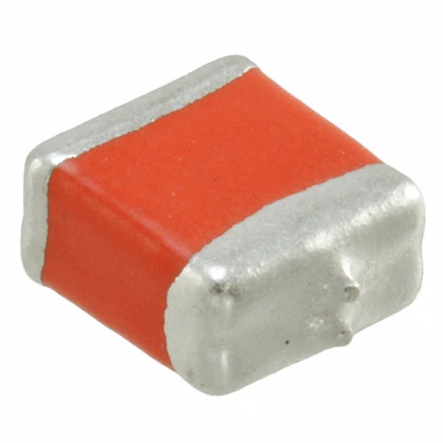 Vishay Sprague 597D107X0040H2T