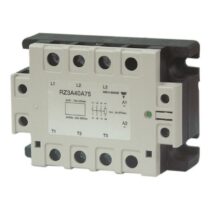 Carlo Gavazzi Inc. RZ3A60D55