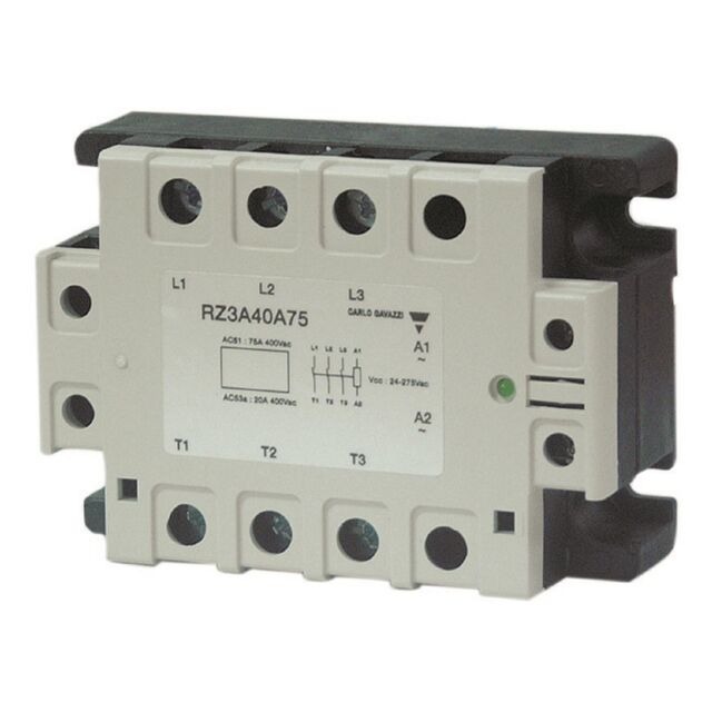 Carlo Gavazzi Inc. RZ3A60D55