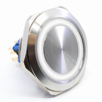 E-Switch PV10F2V0SS-303