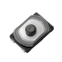 Mitsumi Electric Company Ltd R-668127