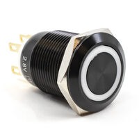 E-Switch PV4F2Y011-301