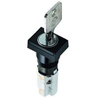 RAFI 1.15.108.631/0100