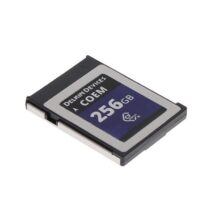 Delkin Devices, Inc. CFXCOEM-256GB